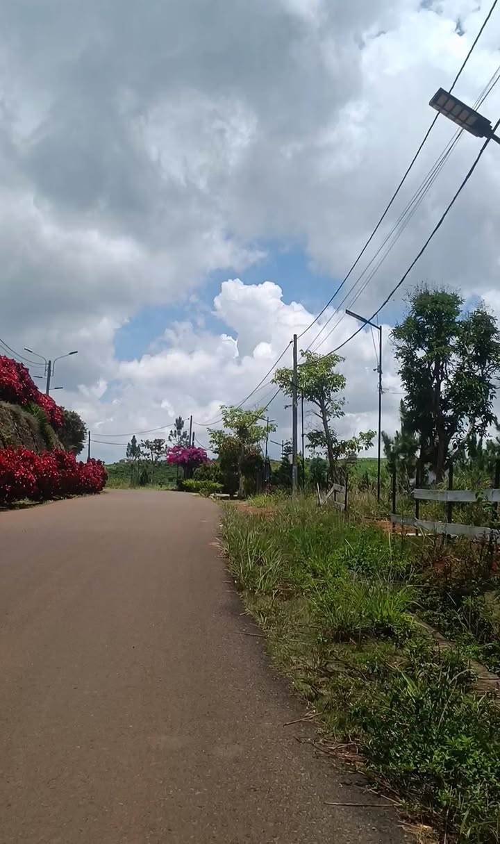 Đất nền Bảo Lộc 3600m² giá thỏa thuận - Mặt tiền đường Tôn Thất Thuyết