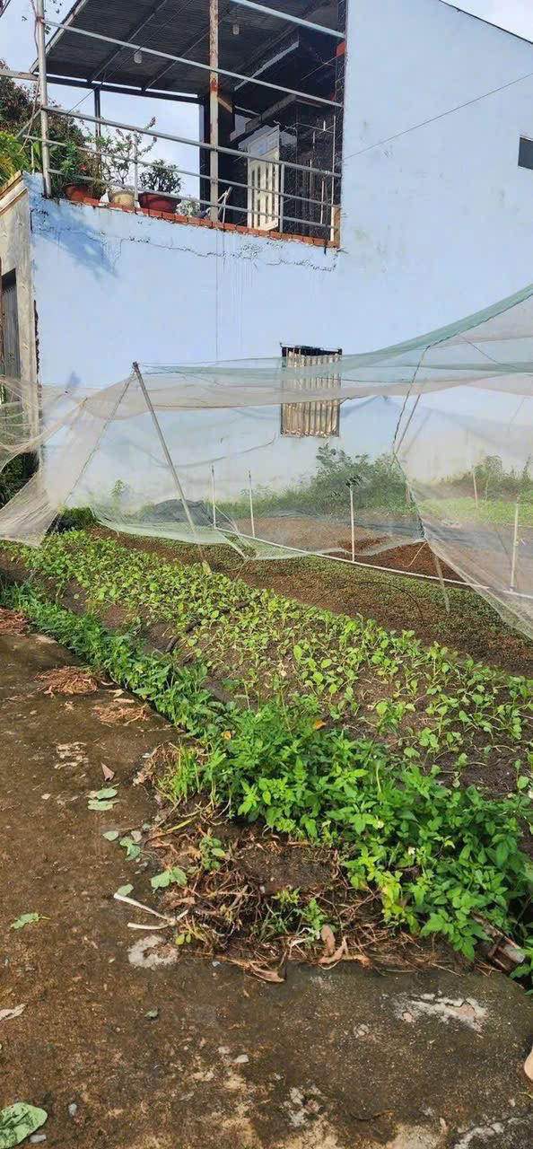 Lô đất Trảng Dài Biên Hòa 95m² giá 430 triệu - Cần ra gấp!