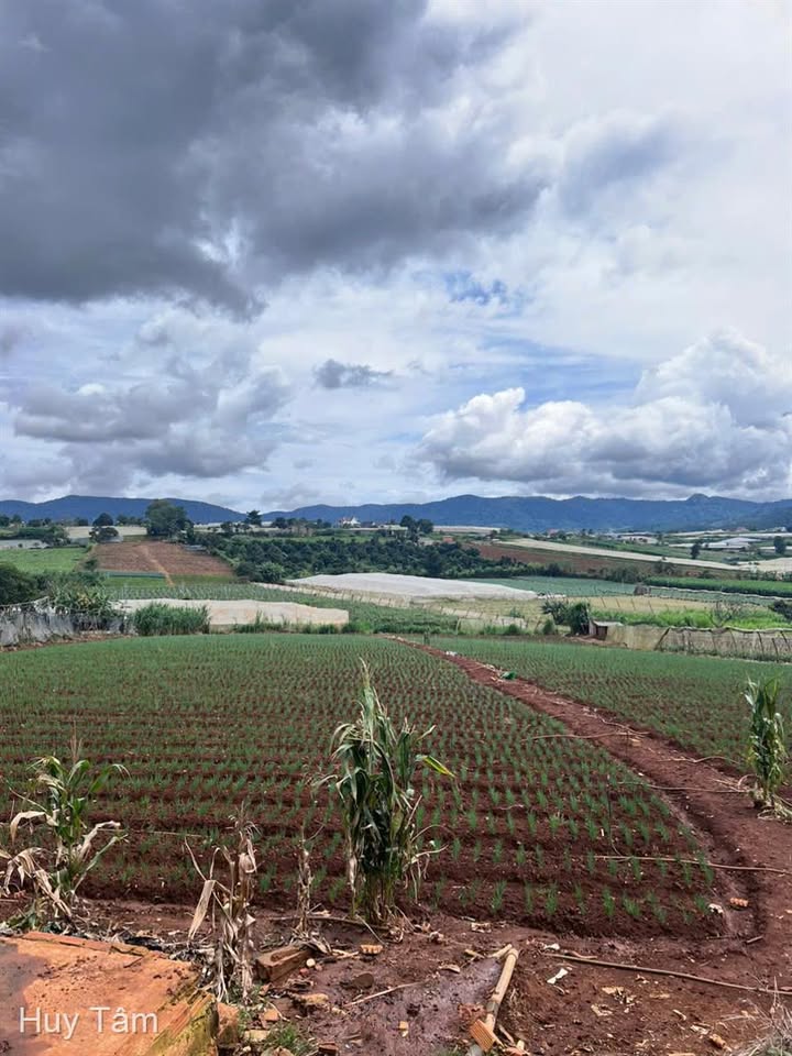 Đất nền Quảng Lập Đơn Dương 9500m² giá 1.71 tỷ - Đầu tư sinh lời bền vững!