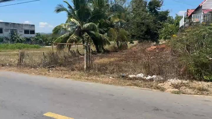 Đất mặt tiền Tỉnh Lộ 8 - Khánh Bình, Khánh Vĩnh 500m² - Tiềm năng kinh doanh lớn!