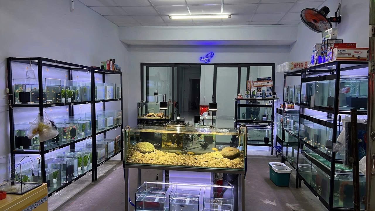 Nhà mặt tiền đường Lê Văn Lương quận 7, diện tích 128m² - Thuận tiện kinh doanh!