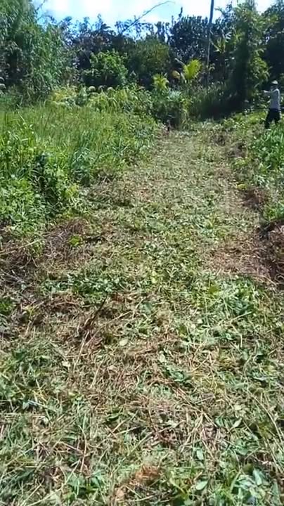 Đất nền An Bình, Cần Thơ 78m² giá chỉ 2xx triệu - Cơ hội đầu tư hấp dẫn!