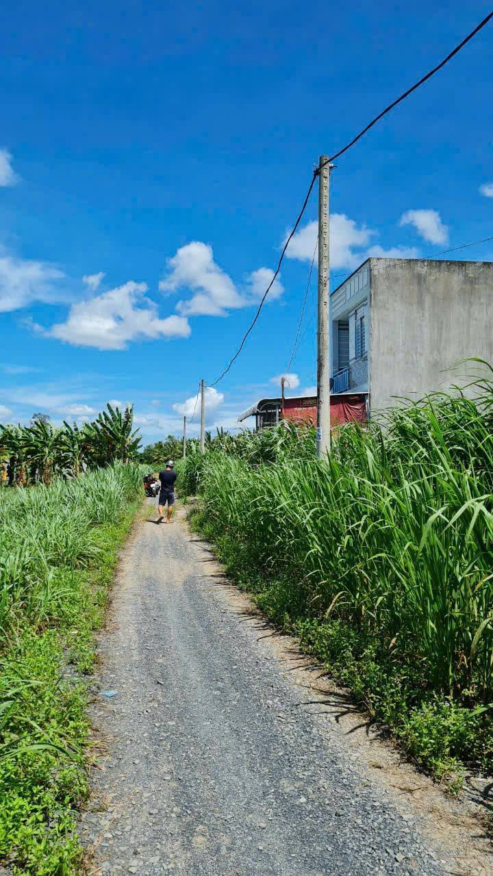 Đất nền lộ ô tô 81m² tại Long Hòa, Bình Thủy, Cần Thơ - Giá chỉ 550 triệu!