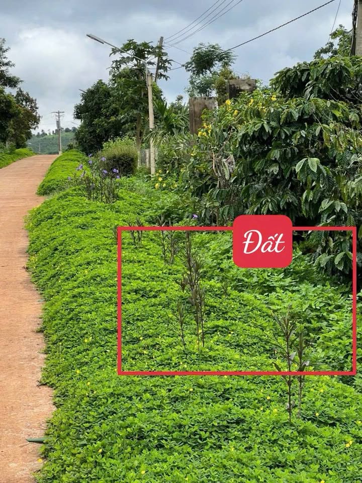 Đất thổ cư Ea Tân Krông Năng 680m² giá 420 triệu - Đầu tư sinh lời ngay!