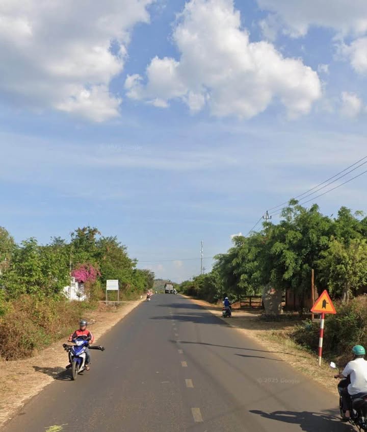 Mặt Tiền Kinh Doanh Tỉnh Lộ 5 Buôn Đôn 500m² giá 2.39 tỷ - Đầu tư sinh lời ngay!