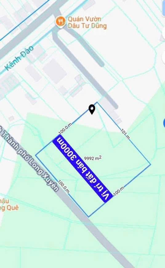 Đất lúa Mỹ Quý 3000m² giá thỏa thuận - Vị trí thuận lợi, giao thông dễ dàng!