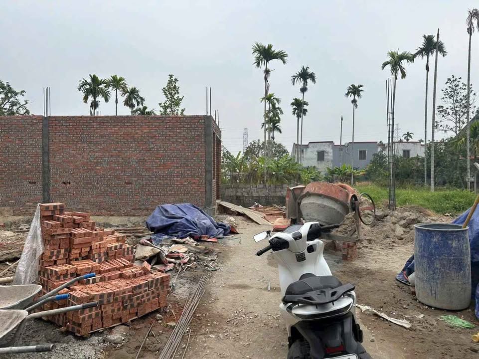 Lô đất kinh doanh Kiều Hạ, An Dương 61.5m² giá chỉ 900 triệu - Đầu tư sinh lời ngay!