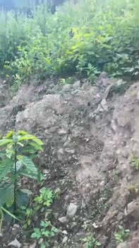 Bán vườn cà phê tại xã Đắk Nuê, huyện Lăk, Đắk Lắk - Giá chỉ 500 triệu!