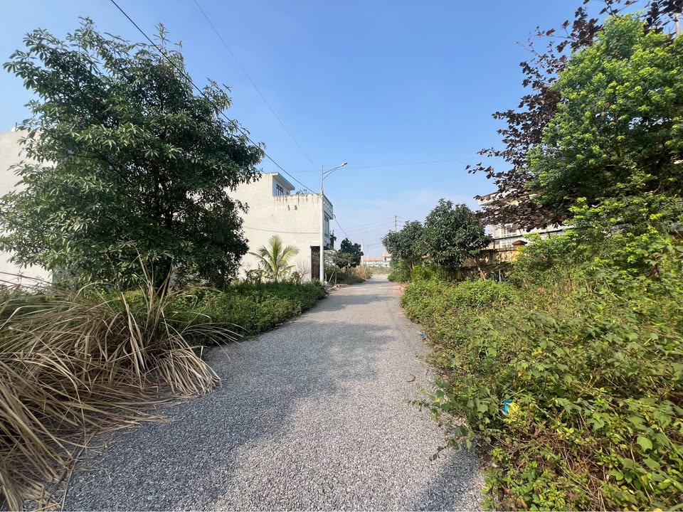 Đất nền 110m² hướng Nam, Phủ Lý, giá chỉ 3.3 tỷ - Cơ hội đầu tư hấp dẫn!