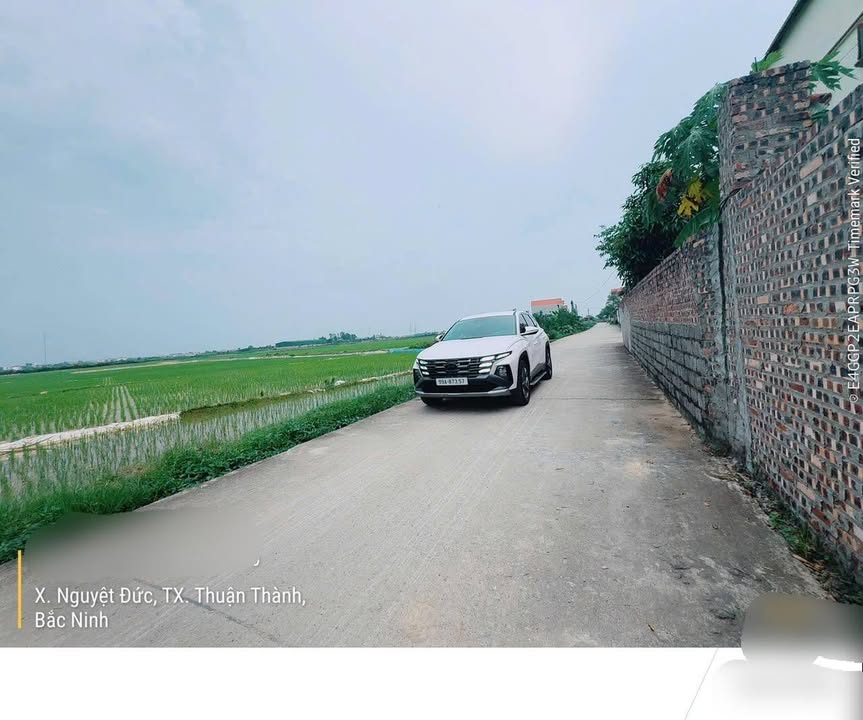 Đất thổ cư Nguyệt Đức, Thuận Thành 95m² giá từ 20 triệu - Cơ hội đầu tư hấp dẫn!