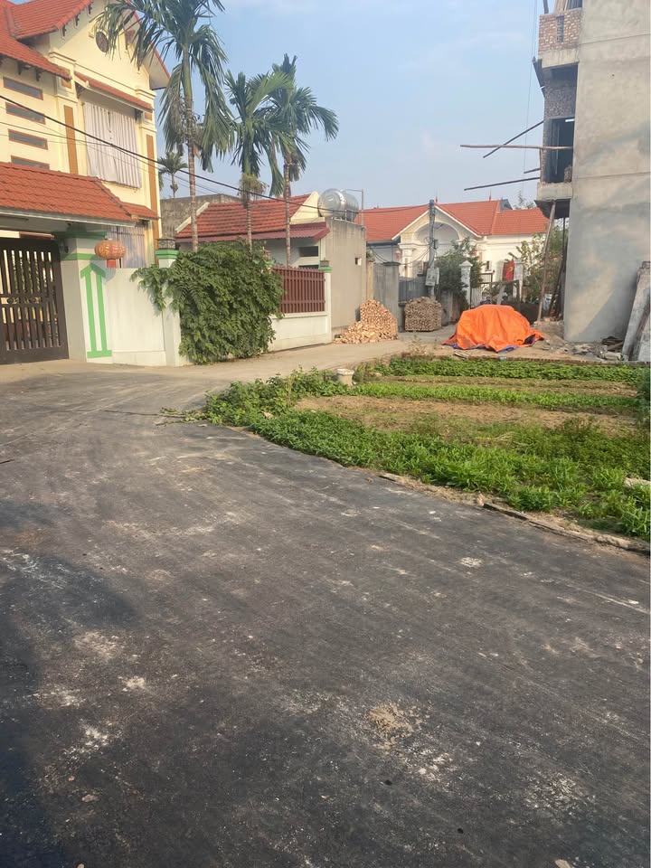 Đất nền Đại Tự, Thanh Khương 64m² - Ô tô vào tận đất, vị trí đẹp!