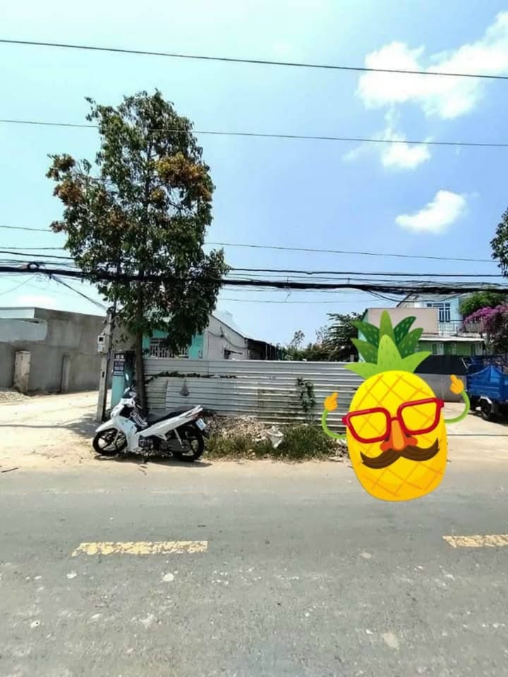 Đất nền mặt tiền Đoàn Thị Điểm, phường 3, Sóc Trăng 411m² - Đầu tư sinh lời ngay!