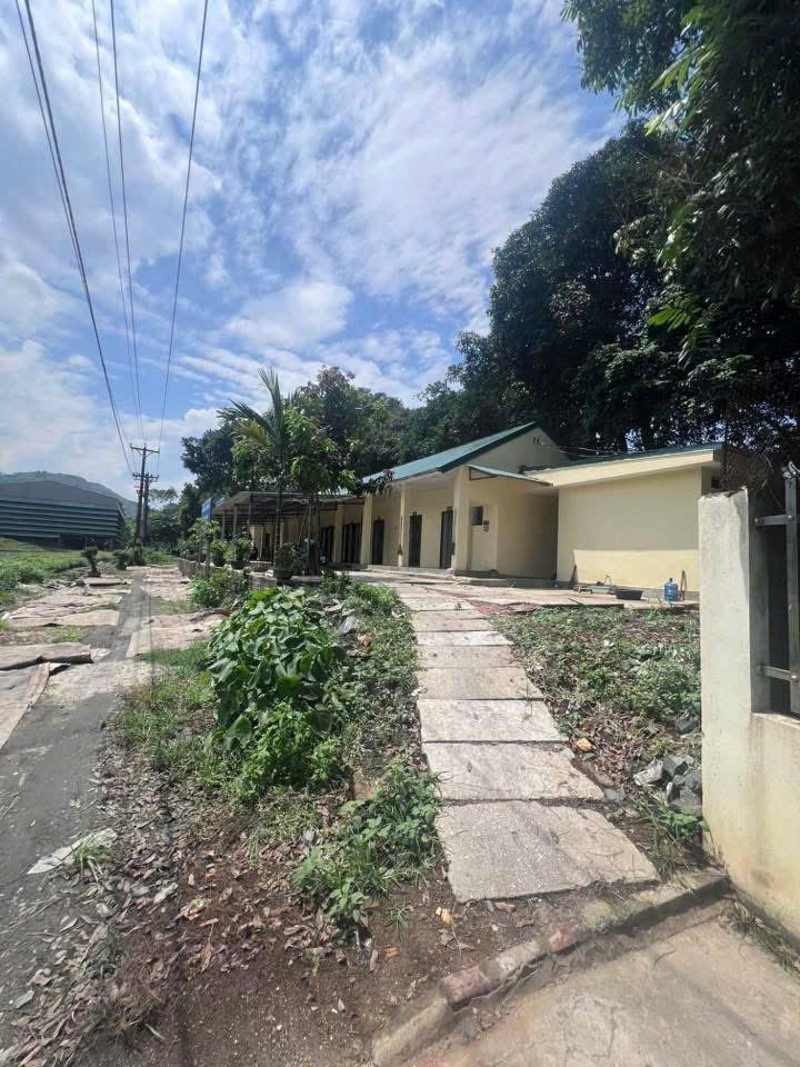 Đất nền Nam Cường Lào Cai 100m² giá 500 triệu - Cơ hội đầu tư tốt!