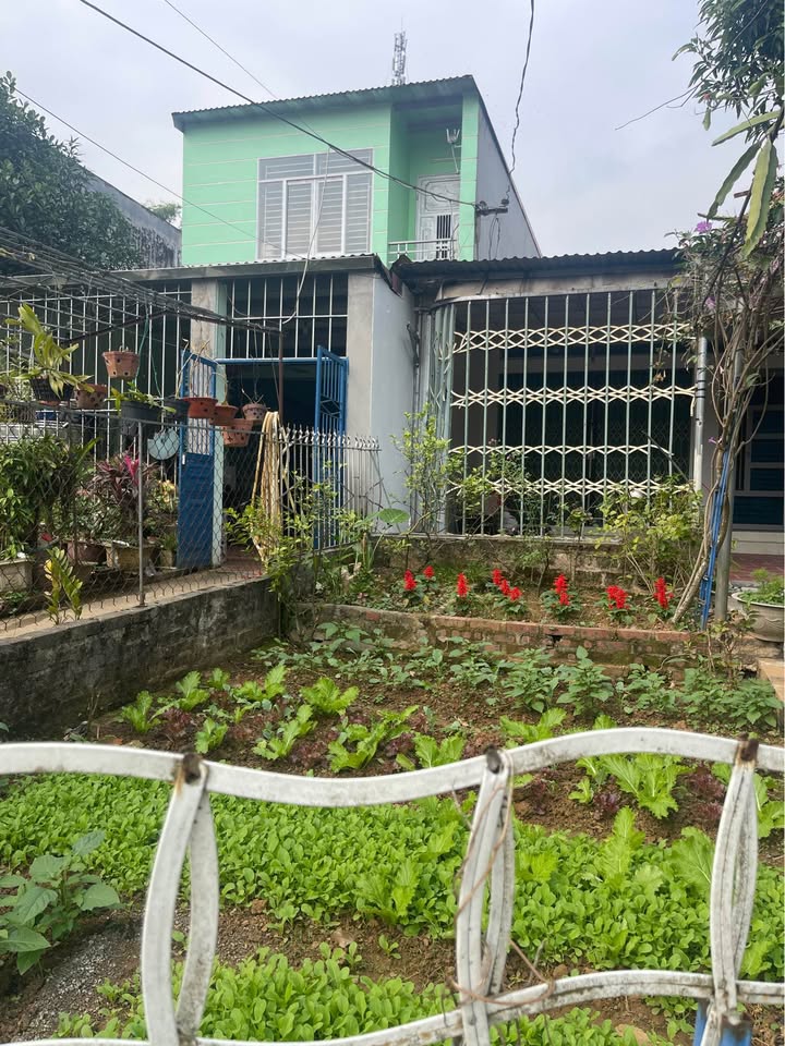 Nhà cấp 4 tại tổ 16 Pom Hán, Lào Cai 100m² giá 1.62 tỷ - Chính chủ bán nhanh!