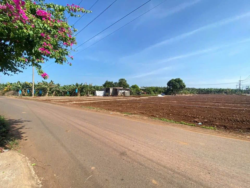 Đất nền Bàu Hàm Mới, Trảng Bom 130m² - Kinh doanh nhỏ lẻ, giá 750 triệu