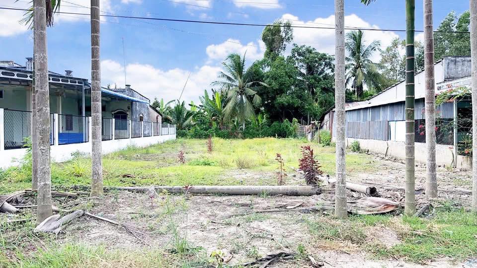 Đất thổ cư Cây Dương, Phụng Hiệp 546m² giá 1.25 tỷ - Đầu tư sinh lời lý tưởng!