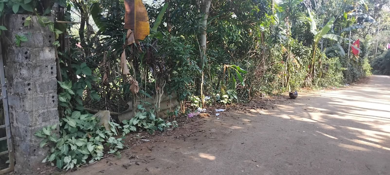 Đất nền Kim Bôi Hòa Bình 3852m² giá 4 tỷ - Đầu tư sinh lời ngay!