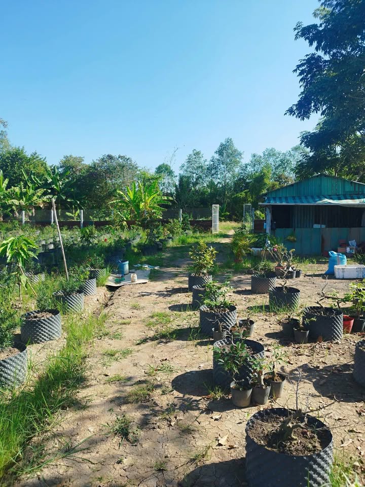 Đất thổ cư 2900m² tại Mỹ Thới, Long Xuyên giá 2.7 tỷ - Thích hợp đầu tư!