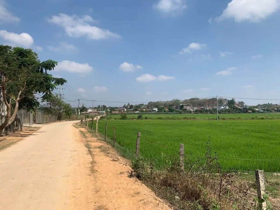 Đất thổ cư 3800m² mặt tiền lớn tại Trúc Sơn, Cư Jút - Giá 2,1 tỷ, thương lượng!