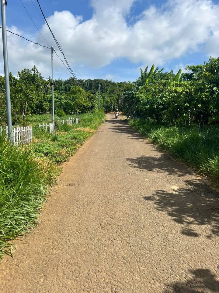 Đất nền mặt tiền Chi Lăng Lộc Thành 135m² giá 850 triệu - Cơ hội đầu tư tuyệt vời!