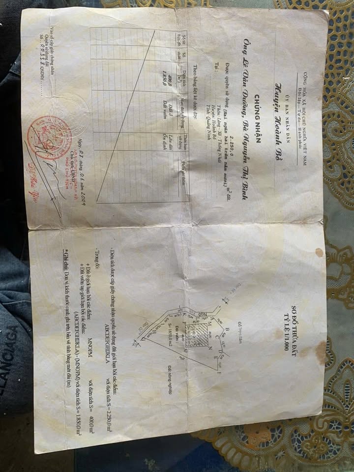 Đất nền Hạ Long 2000m² giá chỉ 4 tỷ - Cơ hội đầu tư tuyệt vời!