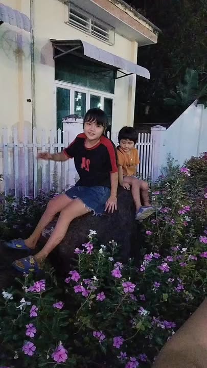 Đất trồng tràm 7000m² tại Phú Ngọc, Định Quán - Sổ đỏ chính chủ, giá 1.3 tỷ!