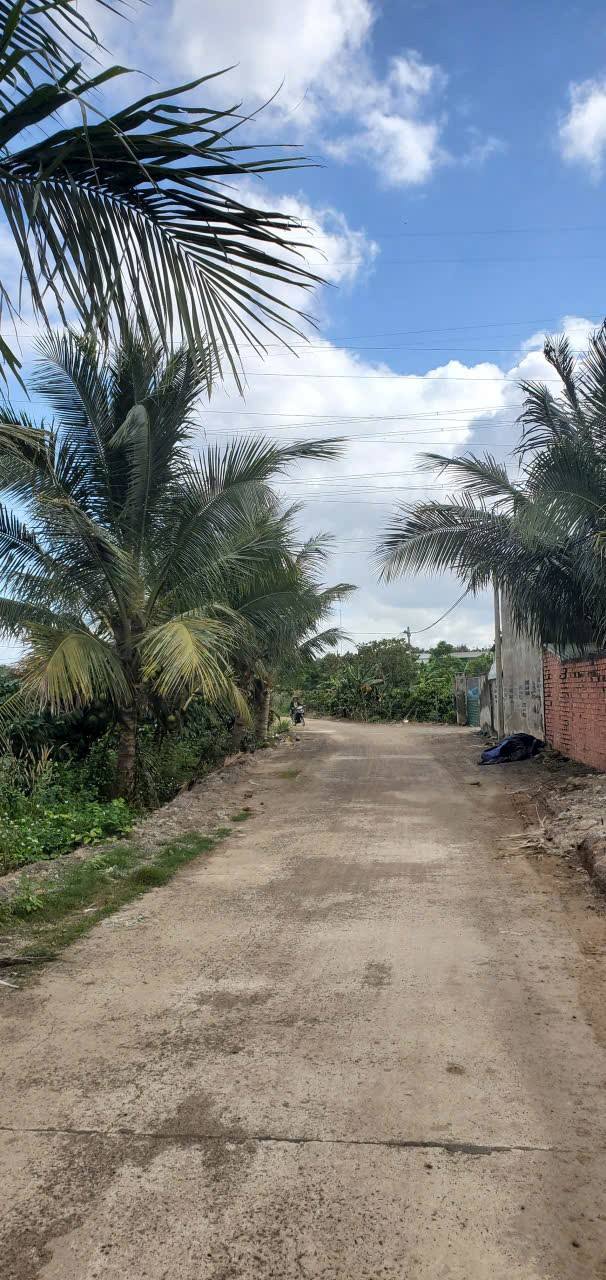 Đất sào Hòa Phú Buôn Ma Thuột 3,2 sào giá 1,76 tỷ - Cơ hội đầu tư sinh lời!