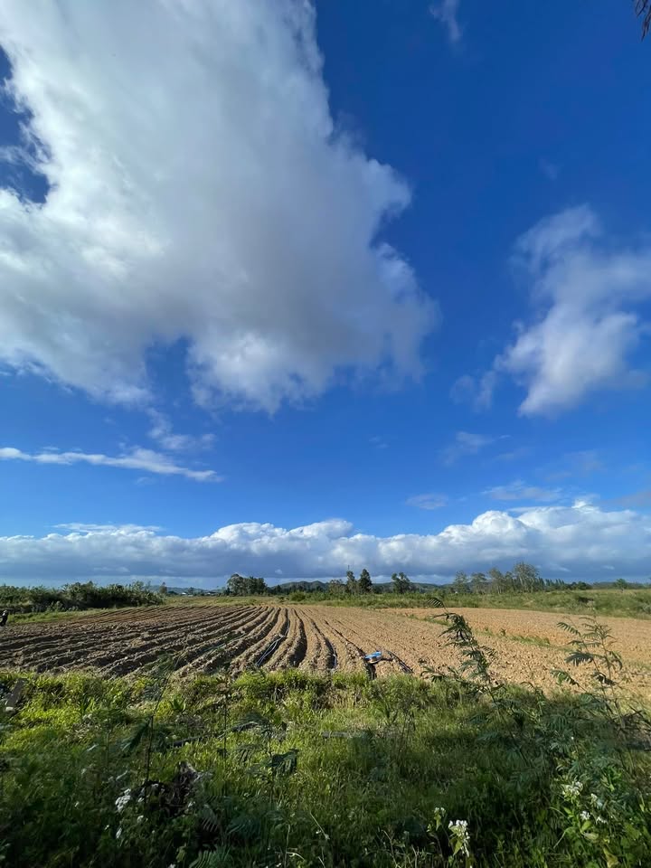 Đất nền Hòa Sơn, Krông Bông 14400m² giá 180 triệu - Sổ đỏ chính chủ!