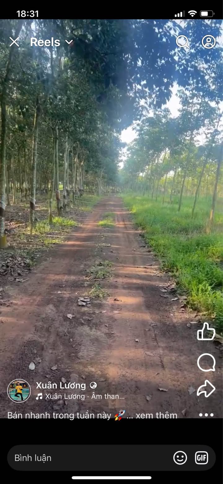 Đất nông nghiệp 3.4ha Tân Thành, Đồng Xoài - Giá chỉ 5.1 tỷ!