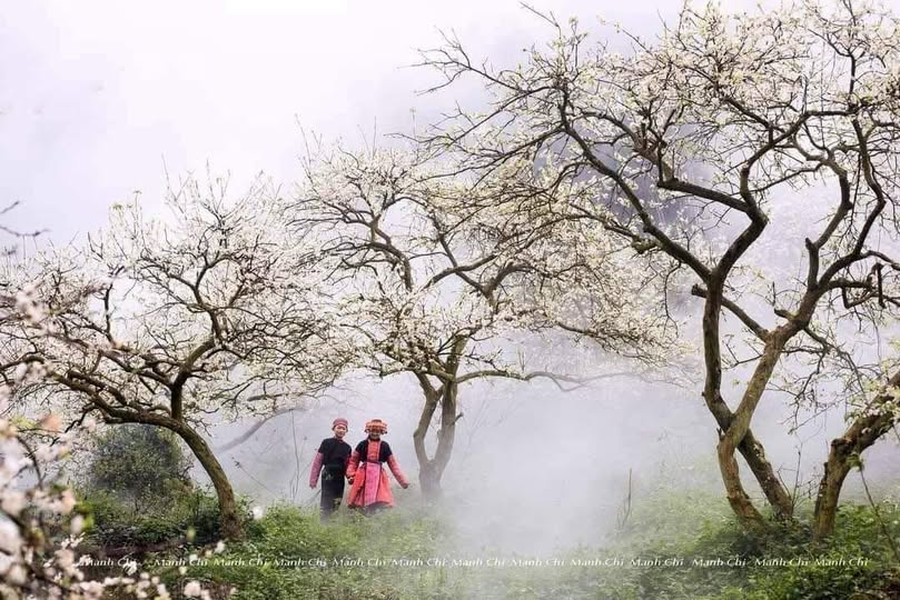 Đất nền Tân Lập Mộc Châu 2400m² giá 499 triệu - Cơ hội đầu tư tuyệt vời!