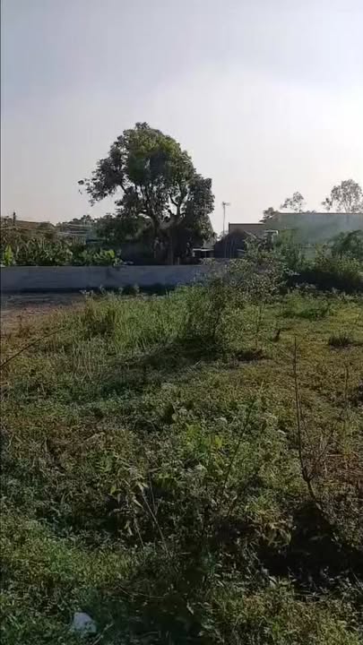 Đất nền Quỳnh Mỹ, Quỳnh Lưu 264m² giá 1 tỷ - Sổ đỏ chính chủ, đầu tư sinh lời!