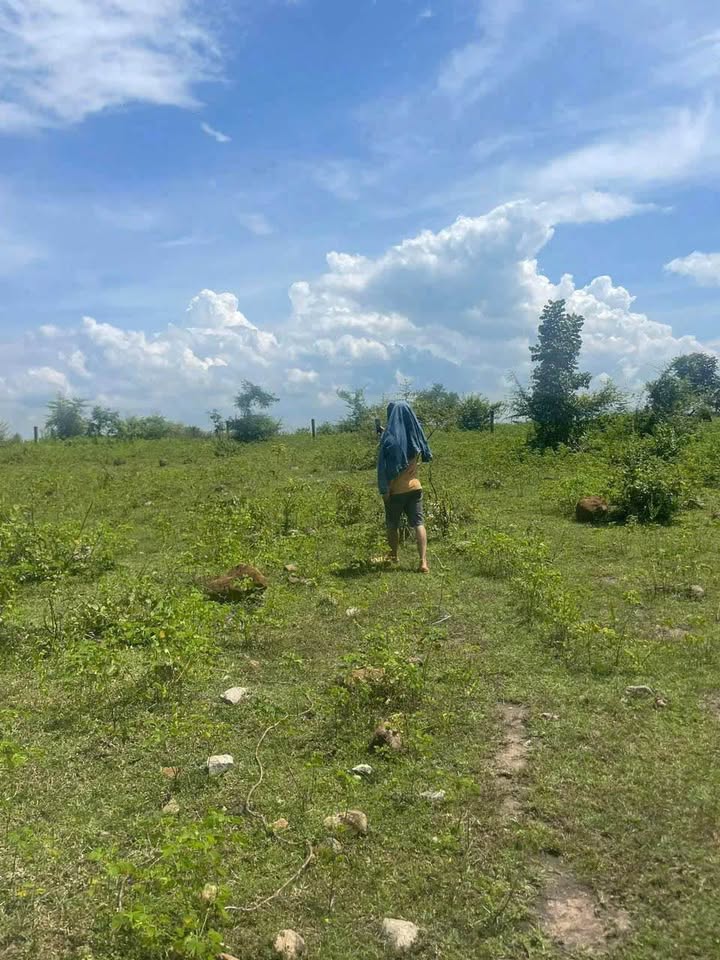 Đất cây trồng 1ha tại Xã Thuận Minh - Giá chỉ 520 triệu, sổ đỏ chính chủ!