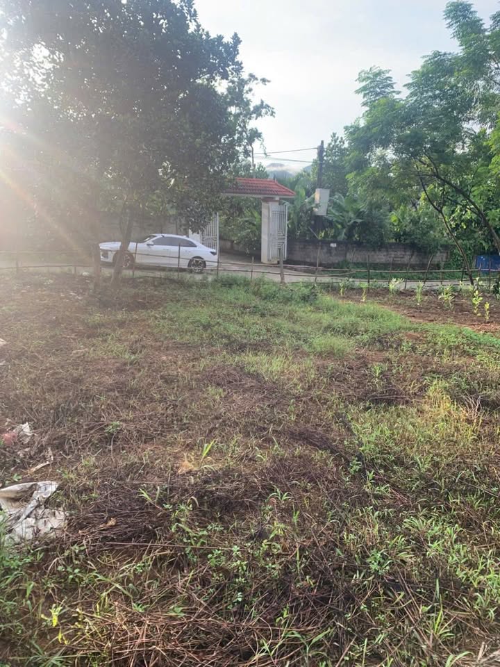 Đất nền Vĩnh Tiến, Kim Bôi 290m² giá 1 tỷ - Cơ hội đầu tư sinh lời!