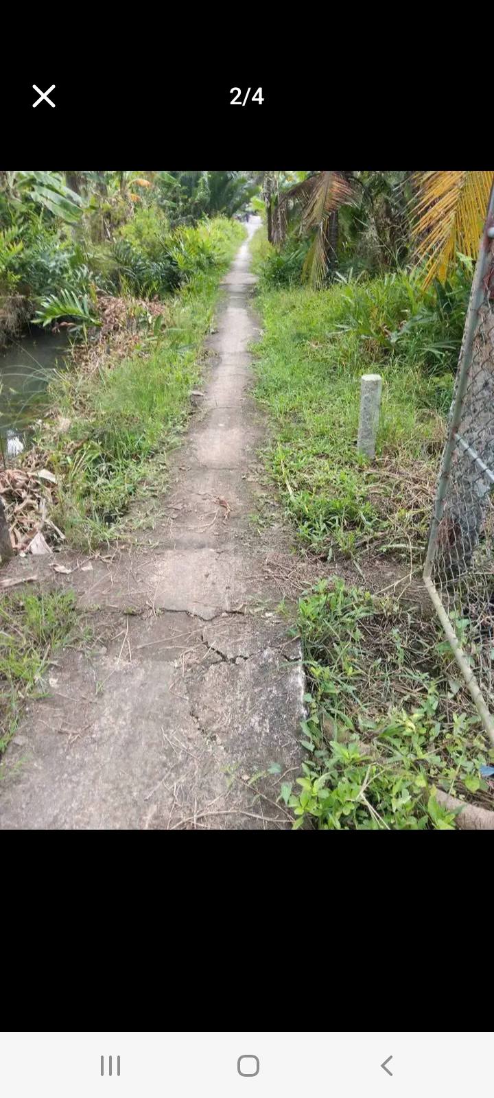 Đất nền Bình Hòa Giồng Trôm 516m² giá 340 triệu - Đầu tư sinh lời hấp dẫn!