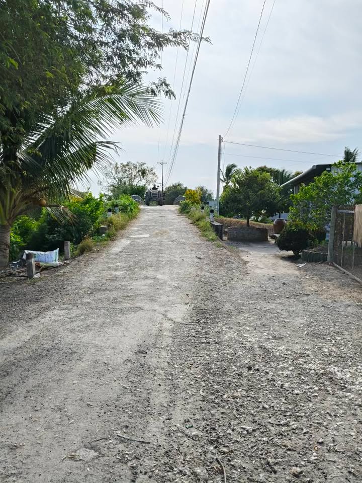 Đất Ruộng 60.000m² Xã Bình Thành - Giá 4.5 tỷ - Đường Xe Hơi Tới Đất