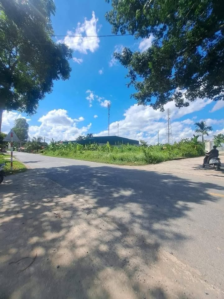 Bán đất tại đường 392 Vạn Phúc, Ninh Giang, 120m² - Vị trí đắc địa, giá tốt!