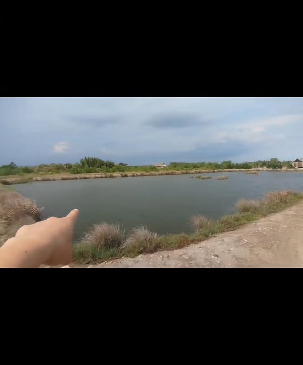 Bán đất Lý Nhơn Cần Giờ 5.423m² giá chỉ 2.169 tỷ - Cơ hội đầu tư tốt!