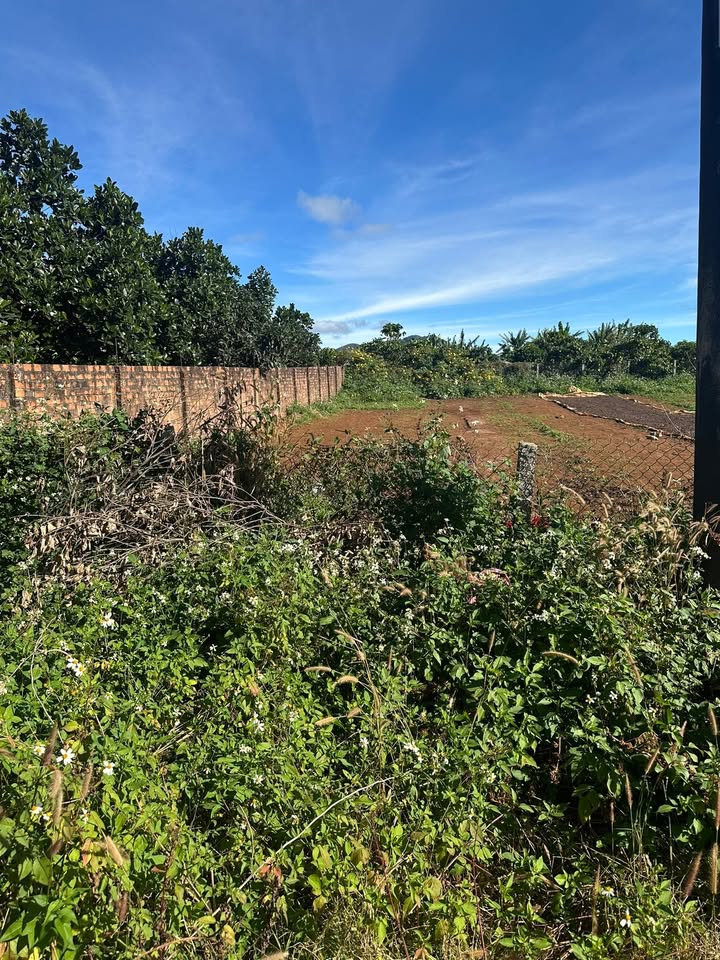 Đất nền mặt tiền thôn 1 xã Nghĩa Hưng 170m² giá 900 triệu - Cơ hội đầu tư hấp dẫn!