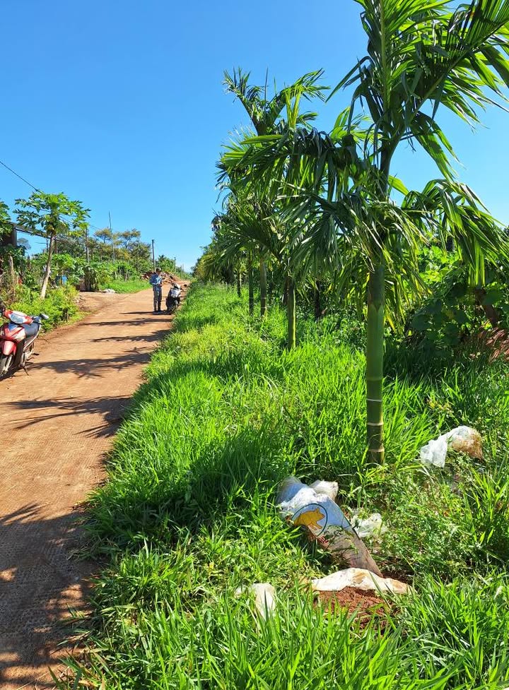 Đất thổ cư Thôn 1, Biển Hồ 130m² giá 370 triệu - Cơ hội đầu tư tốt!