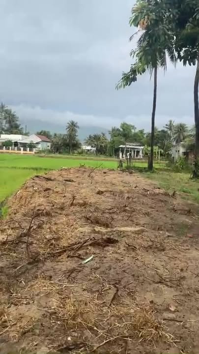 Đất vườn Cát Khánh, Phù Cát, Bình Định 1700m² giá 1.5 tỷ - Cơ hội đầu tư tuyệt vời!