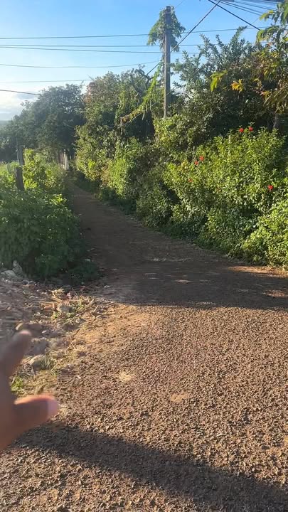 Đất nền 2 mặt tiền QL14A, xã Ia Hrú, 10.500m² giá chỉ 180 triệu/m² - Cơ hội đầu tư tuyệt vời!