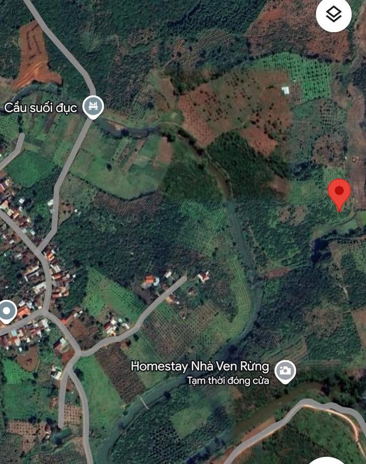 Farm 1.3ha tại Sơn Lang, Kbang, Gia Lai giá 1.35 tỷ - Đầu tư sinh lời ngay!