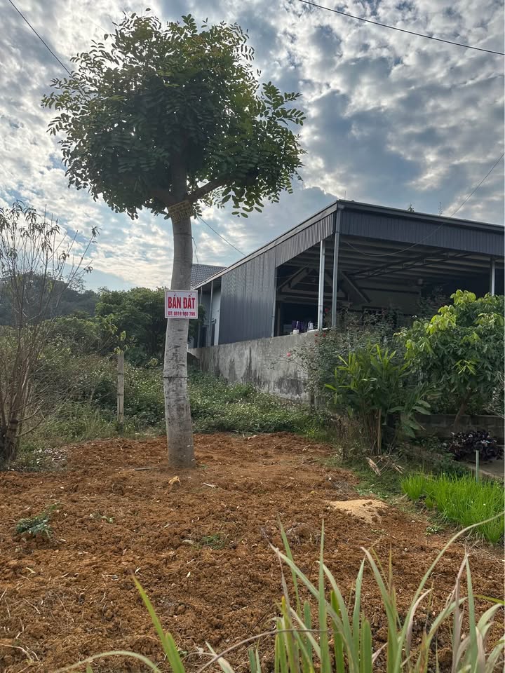 Đất thổ cư chính chủ tại Mai Sơn, 243m² - Bán gấp giá thỏa thuận!