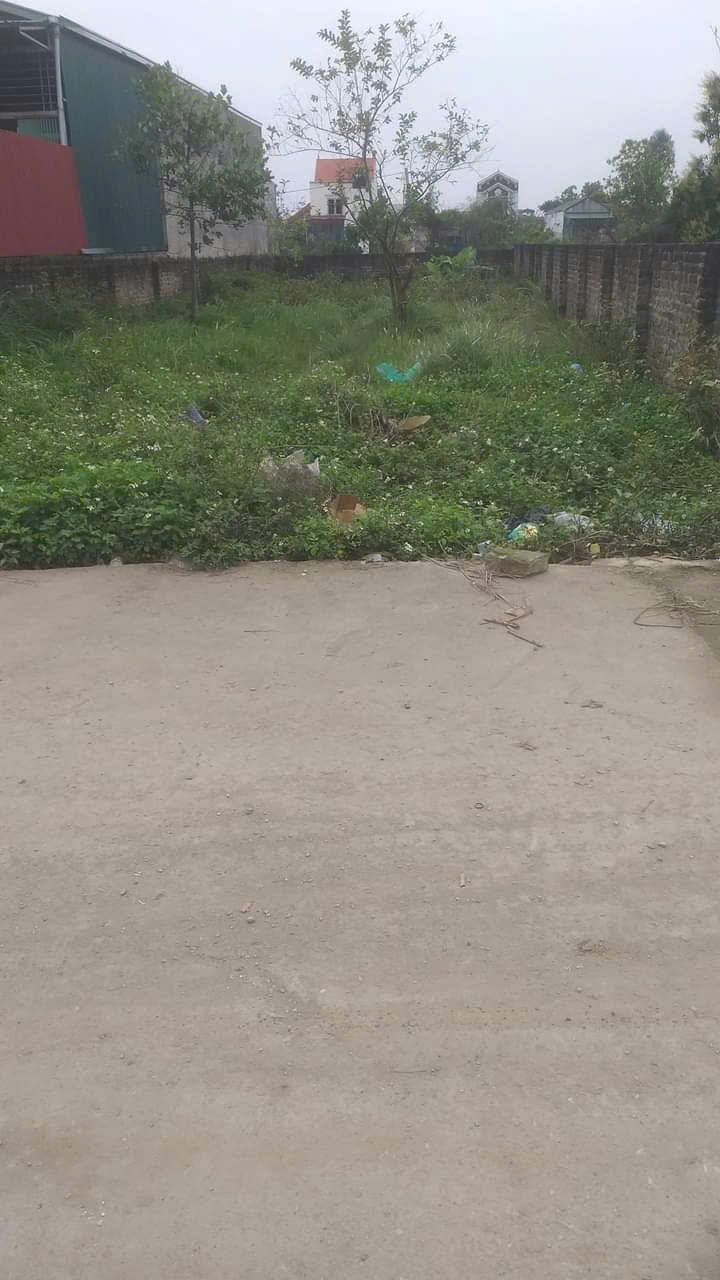 Đất xưởng chính chủ Đại Áng 300m² giá chỉ 14 triệu/m² - Cơ hội đầu tư hấp dẫn!