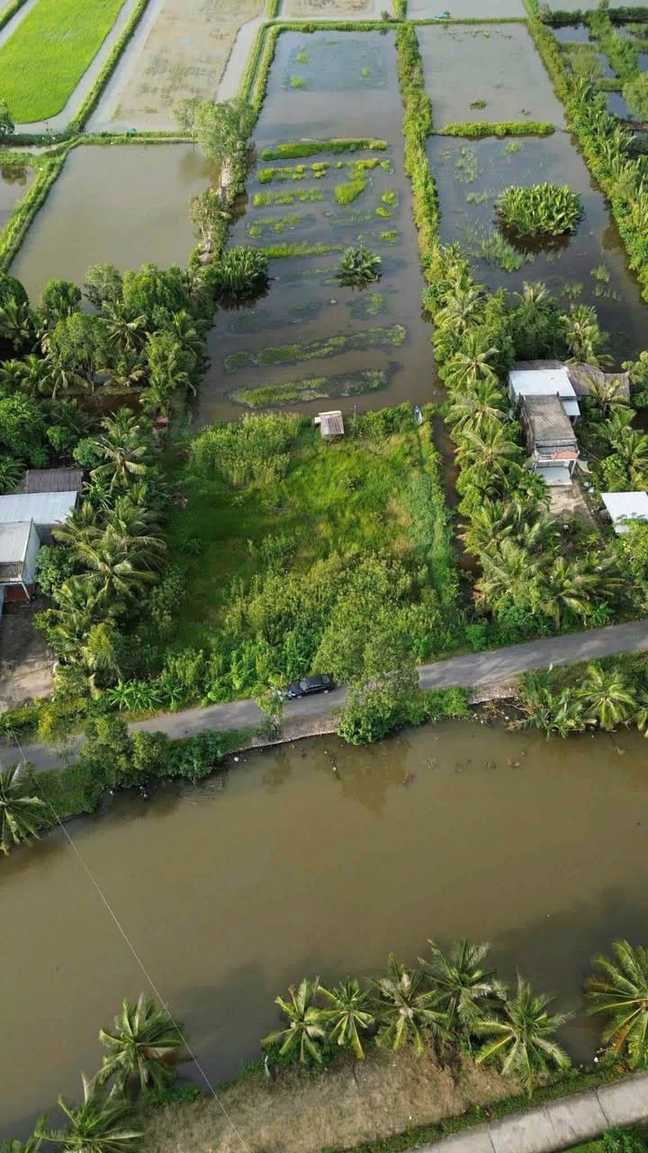 Bán đất mặt tiền Hồ Thị Kỷ, Thới Bình 8.7 tỷ - Tiềm năng đầu tư lớn!