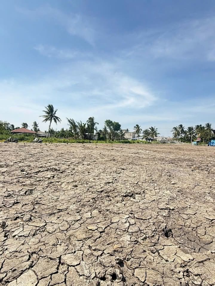 Đất vườn Minh Hòa 1000m² giá chỉ 510 triệu - Cơ hội đầu tư tuyệt vời!