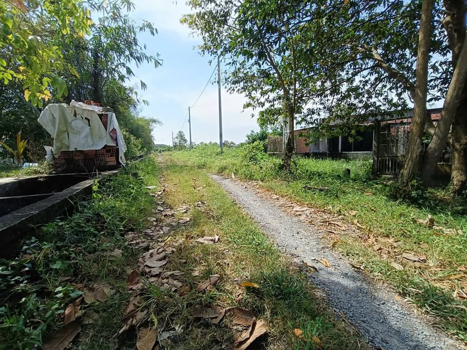 Đất nền Trung Lập Hạ Củ Chi 500m² giá 1.2 tỷ - Đường ô tô, cơ hội đầu tư tuyệt vời!