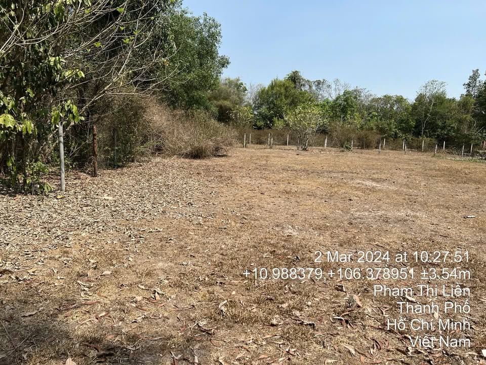 Bán đất mặt tiền đường Phạm Thị Liền, Thái Mỹ, Củ Chi 1311m² - Tiềm năng kinh doanh lớn!