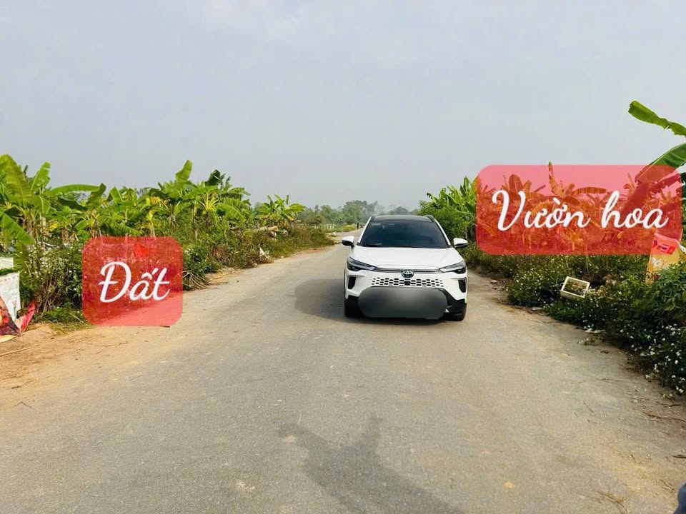 Đất dịch vụ Tích Sơn - Vĩnh Yên 105m² - Sổ đỏ chính chủ, vị trí đẹp gần tiện ích!