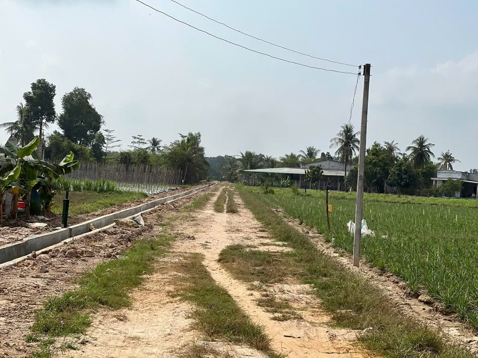 Đất Hảo Đước, Châu Thành 195m² giá 259 triệu - View Núi Bà Đen tuyệt đẹp!